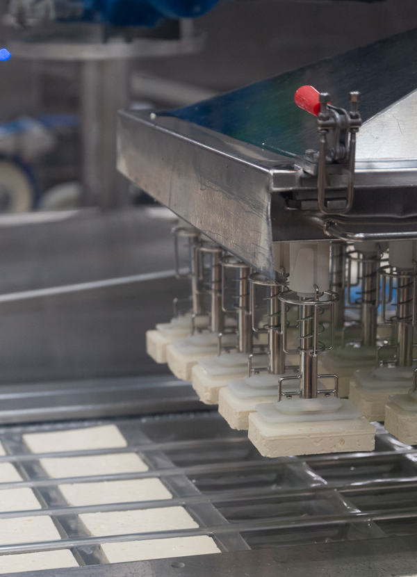 Arla Foods and the White Cheese Plant in Kruså