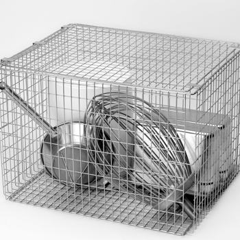 Learn more about our custom designed baskets